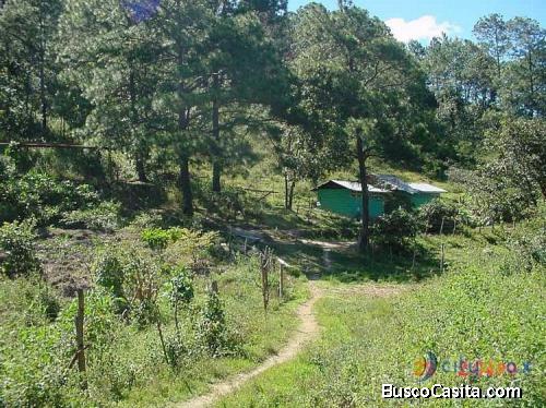 Vendo Finca Rustica En San Pedro Ayampuc; Idi: 84793