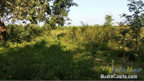 Terreno En Venta En San Andres Villa Seca Retalhuleu; Idi: 84123