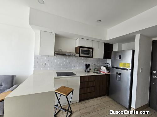Apartamento amoblado en Renta zona 5
