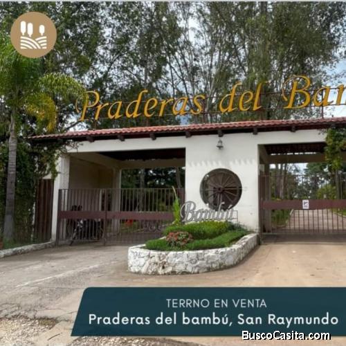 VENDO TERRENO EN SAN RAYMUNDO EL BAMBU, SAN JUAN SACATEPEQUEZ