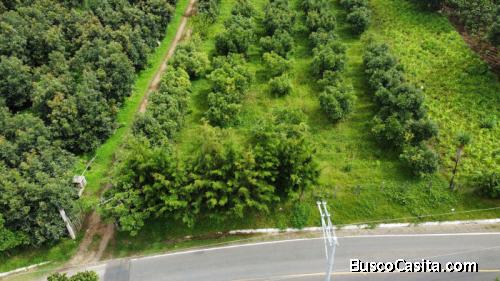 Terreno en Pre-venta en Santo Domingo Xenacoj