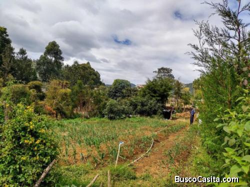 Se vende terreno amplio independiente en Santa Lucía MA