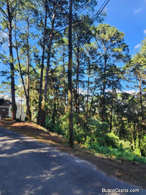 Terreno en Venta en Santa Rosalia 1566 Varas