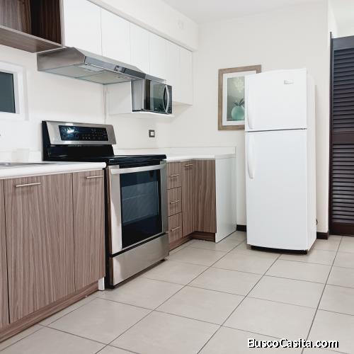 APARTAMENTO EN RENTA EN SANTA ELISA Z.12.