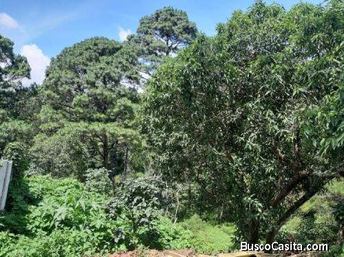 Terreno En Venta En Venta En Monte Pinasco Fraijanes; Idi: 111389