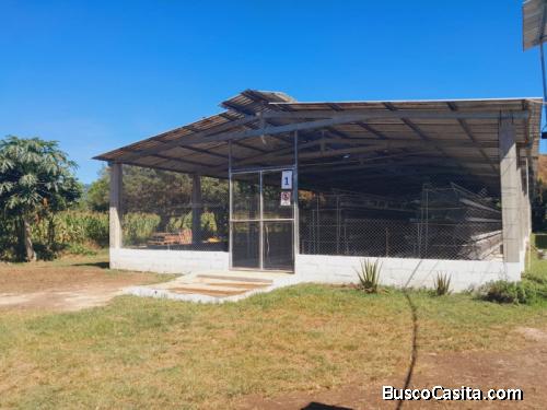 Granja de 8 manzanas en venta en Oratorio Santa rosa