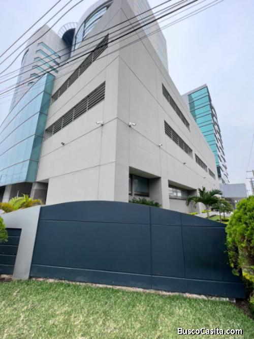 Oficina Económica En Renta En Zona 10 Guatemala; Idi: 136588