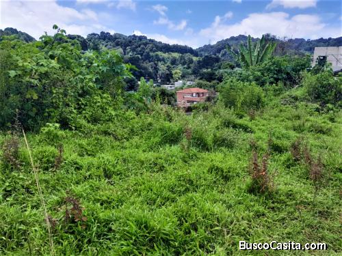 Terreno En Venta Cristo Rey, Piedra Parada; Idi: 138314
