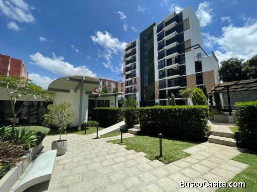 APARTAMENTO EN RENTA ZONA 14