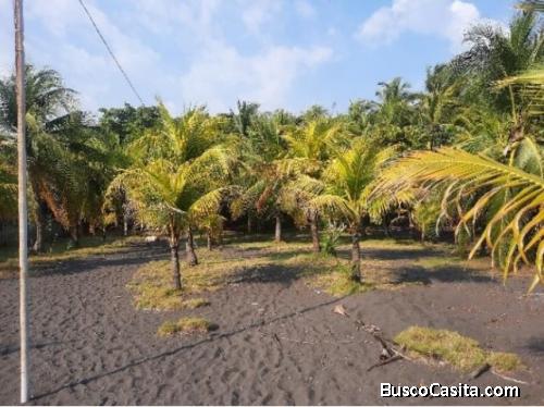 Terreno En Venta Puerto San José, Vacacional; Idi: 138582