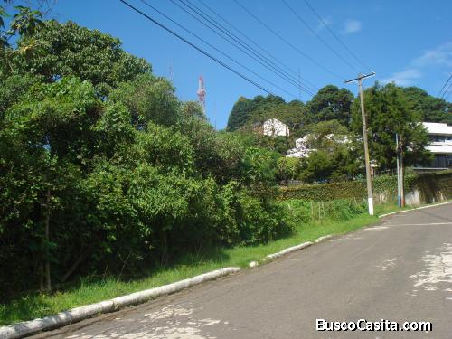 Terreno Comercial En Venta (pvt-042-06-11-5); Idi: 58402