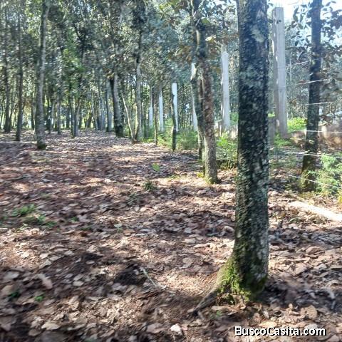 Terreno Residencial En Venta Sumpango, Sacatepéquez; Idi: 138120