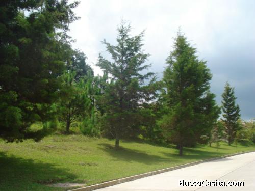 En Venta Terreno Con 11577 En Casa & Campo; Idi: 60841