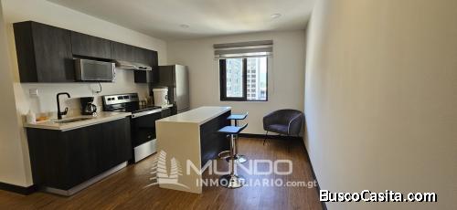 APARTAMENTO AMOBLADO EN RENTA ZONA 10