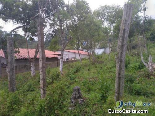 Terreno En Renta En San Bartolomé Milpas Altas ; Idi: 110262