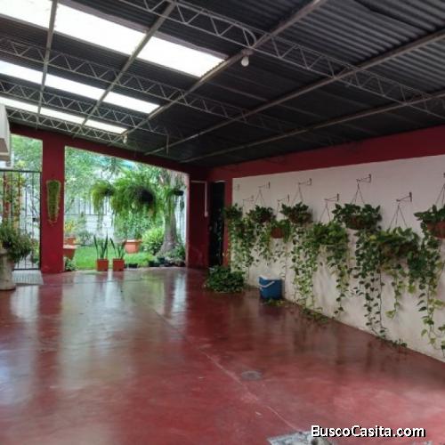 Casa Amplia En Renta Colonia Santa Elisa Zona 12 Ciudad; Idi: 139284