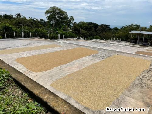 vendo finca en Guanagazapa, santa rosa