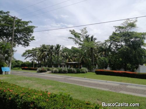 Terreno Residencial En Venta En Ruta A Puerto Quetzal ; Idi: 139543