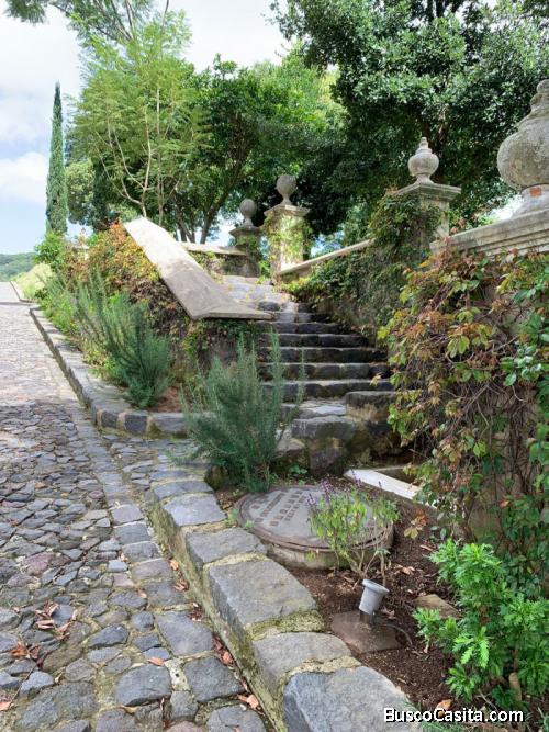 Exclusivo Terrenos En Venta En San Mateo ; Idi: 138229