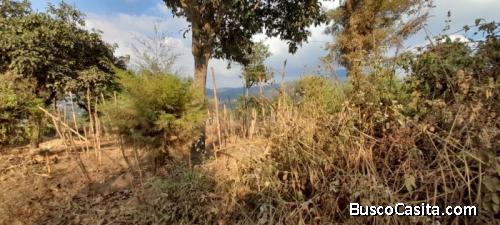 Citymax Vende Finca Rustica En San Pedro Las Huertas ; Idi: 124132