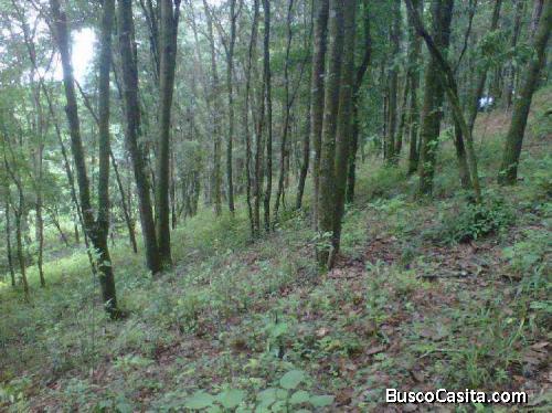 Citymax Antigua Vende Terreno En El Ensueño! San Lucas ; Idi: 71534