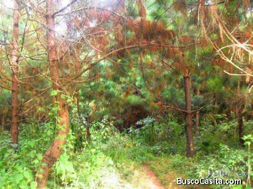 Terreno En Renta En El Area De San Lucas Sacatepequez; Idi: 71432