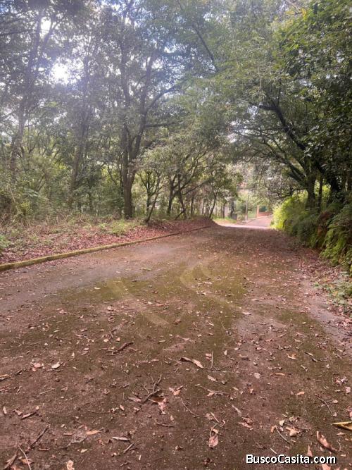 Terreno de esquina en Residencial Las Hojarascas en venta