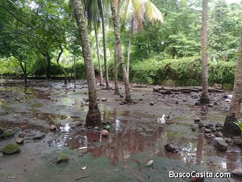 Se Vende Terreno En Escuintla Dentro De Residencial; Idi: 139640