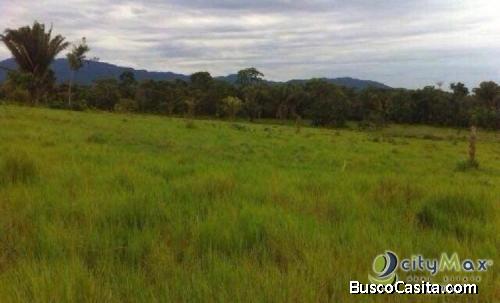Vendo Terreno De 70 Manzanas En Izabal; Idi: 98442