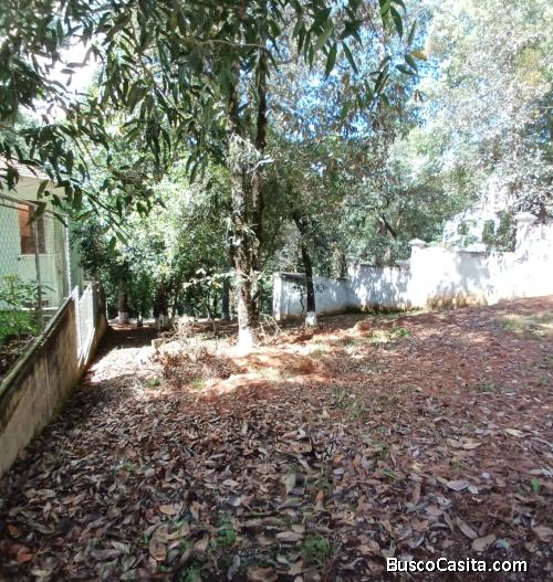 Terreno En Venta En Labor De Castilla; Idi: 139669