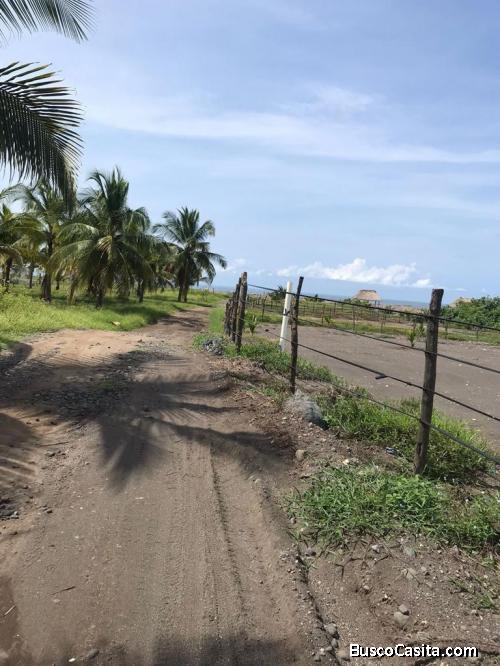 Venta De Terreno En Escuintla; Idi: 138751