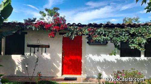 Apartamento En Renta San Pedro El Alto; Idi: 139850