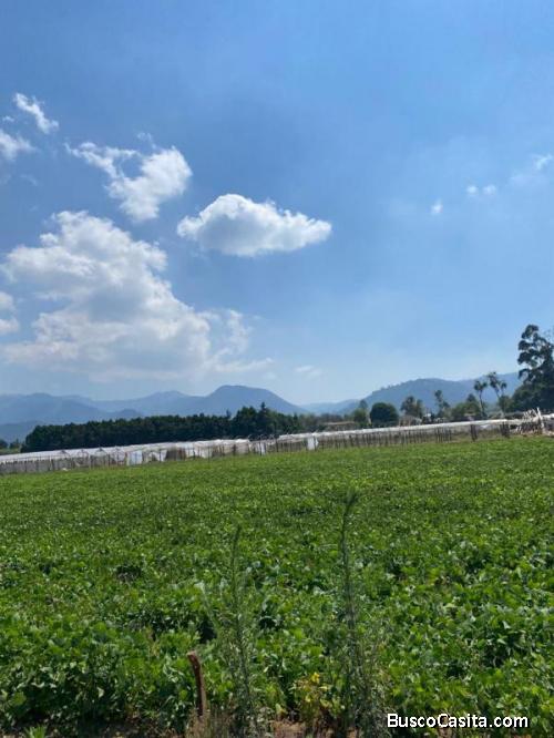 Se Renta Terreno Cercano Al Casco Urbano De Antigua ; Idi: 134800
