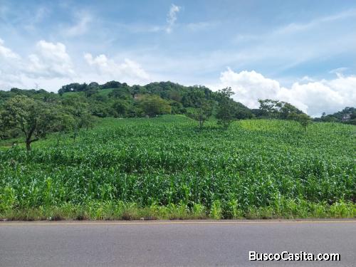 PRECIOSO TERRENO DE 6 MANZANAS MUCHA VOCACION COMERCIAL ORILLA CARR. SALVADOR KM 64 CUILAPA