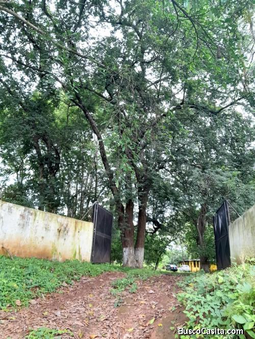 Terreno En Renta En Masagua Escuintla; Idi: 140099