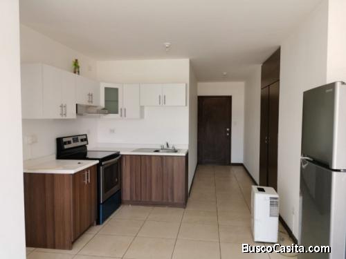 Se Vende Apartamento Para Inversión En Zona 7 Rentado; Idi: 116770