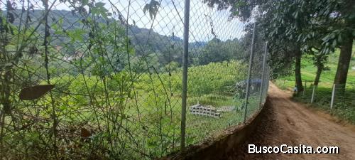 Terreno De Una Manzana En Venta En Santiago Sacatep; Idi: 135473