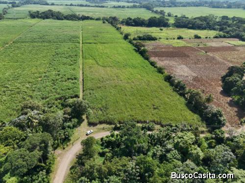 Finca En Venta De 115,711.70 Vrs. En Masagua, Escuintla; Idi: 102813