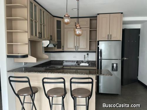 Apartamento en Renta Zona 15 Vista Hermosa 1