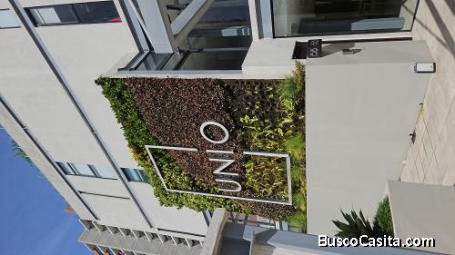 APARTAMENTO EN RENTA 3 HABITACIONES Z 14  MUNDO INMOBILIARIO