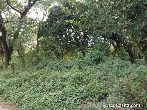 Terreno En Venta En Montebello, Km 29 Ces; Idi: 140691