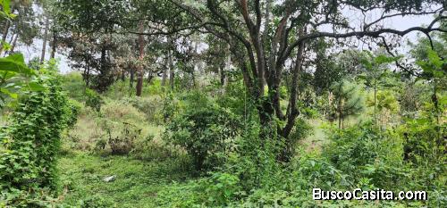 VENDO TERRENO EN RUTA INTERAMERICANA KM 41