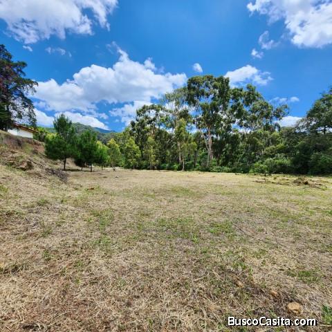 Terreno Industrial En Alquiler Finca Labor De Castilla; Idi: 136080