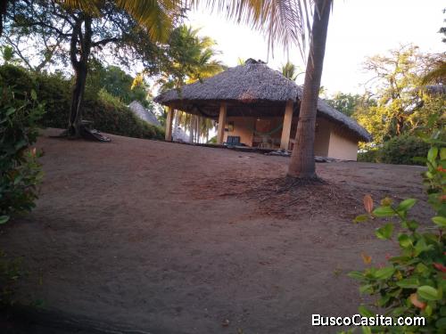 ¡Terreno con cabaña en Ganga! en #HawaiiMonterrico