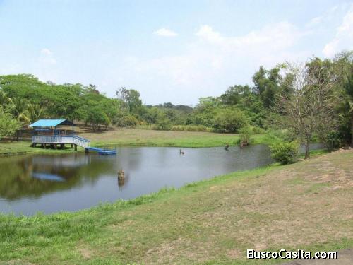 Terreno En Venta En Torremolinos Autopista Puerto; Idi: 139474