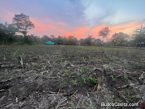 Terreno Agrícola En Venta Puerto San José Parcelamiento; Idi: 141085