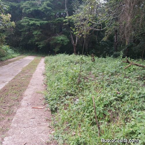 Terreno Residencial En Venta Tierra Linda San Lucas Sac; Idi: 141177