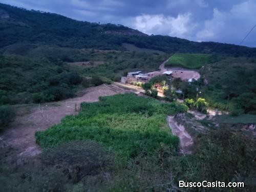 Finca En Venta En Sanarate, El Progreso; Idi: 136620