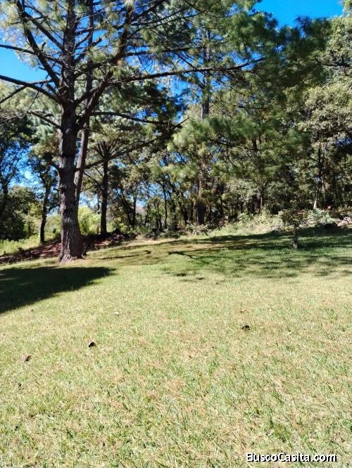 RENTO HERMOSO TERRENO PARA EVENTOS