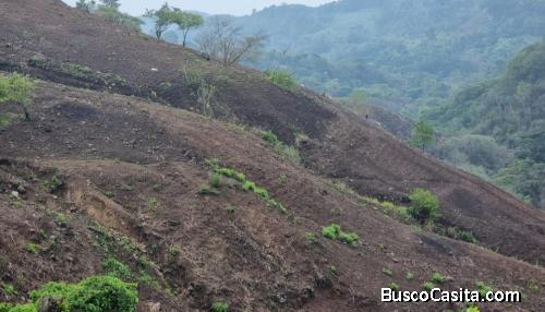 En Venta Terreno Para Cultivo En Santa Rosa; Idi: 56801